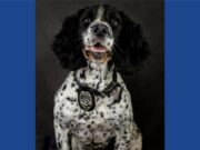 Ohio police department announces passing of K9 officer