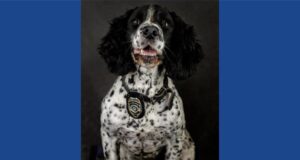Ohio police department announces passing of K9 officer