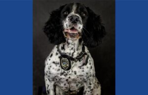 Ohio police department announces passing of K9 officer