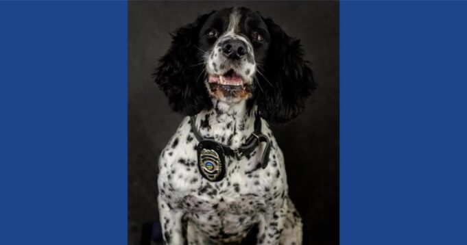 Ohio police department announces passing of K9 officer