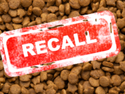Pet food sold in Ohio recalled due to salmonella contamination