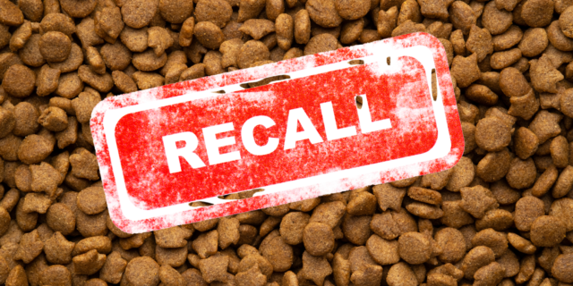 Pet food sold in Ohio recalled due to salmonella contamination