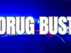 Two people arrested following large fentanyl and meth bust in Georgia