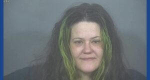 One person arrested following drug bust in Indiana