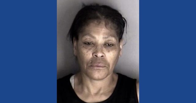 One person arrested following drug bust in Kansas
