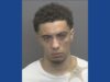 One person arrested following hit and run incident in Indiana