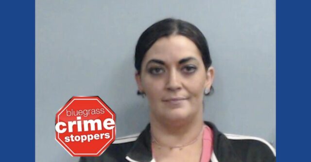 Police searching for wanted fugitive in Kentucky