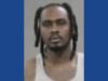 One person arrested following drug bust in Indiana