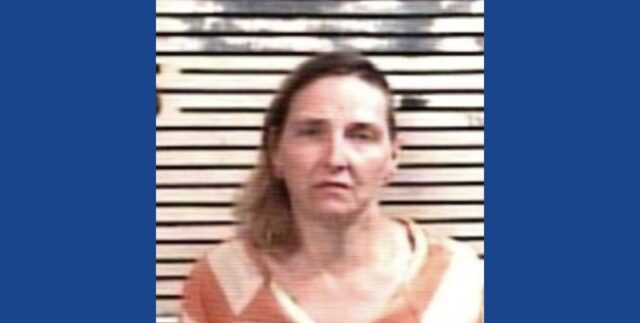 One person arrested following drug bust in Florida