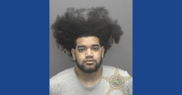 One person arrested following drug bust in Indiana