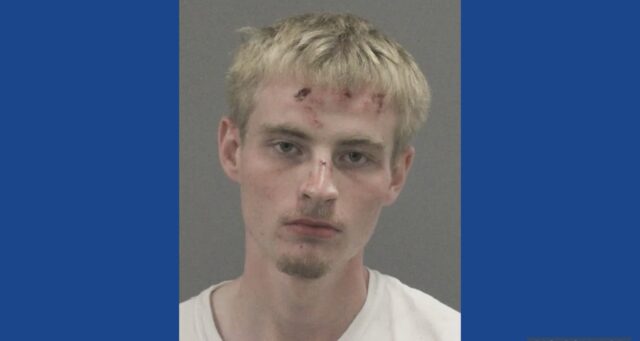 One person arrested following drug bust in Illinois
