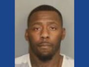 One person arrested following drug bust in Alabama