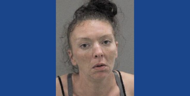 Police searching for wanted fugitive in Illinois