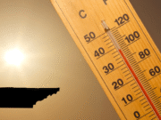 Hottest temperature on record in Tennessee