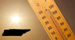 Hottest temperature on record in Tennessee