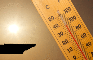 Hottest temperature on record in Tennessee