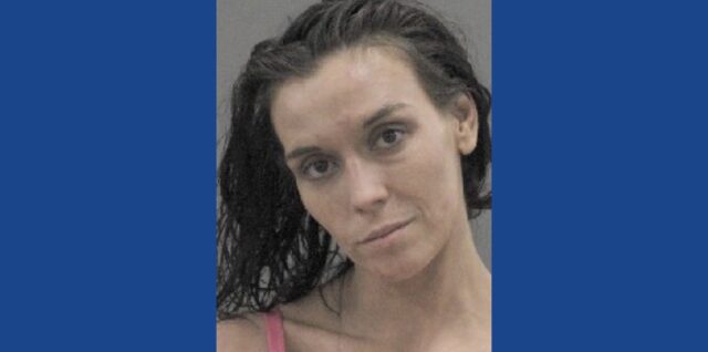Police searching for wanted fugitive in Illinois