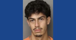 One person arrested following drug bust in South Carolina