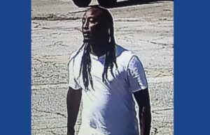 One person arrested on multiple theft charges in Georgia