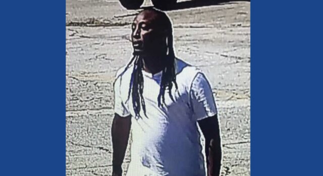 One person arrested on multiple theft charges in Georgia