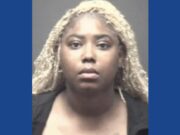 One person arrested following drug bust in North Carolina