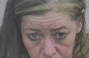 One person arrested following drug bust in Kentucky