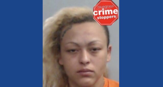 Police searching for wanted fugitive in Kentucky