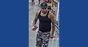 Police searching for wanted theft suspect in Georgia