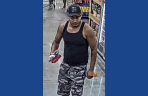 Police searching for wanted theft suspect in Georgia
