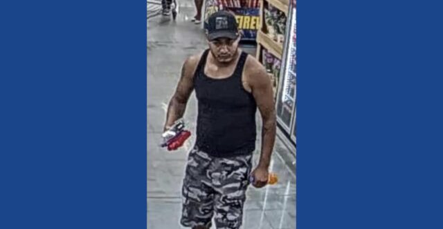 Police searching for wanted theft suspect in Georgia