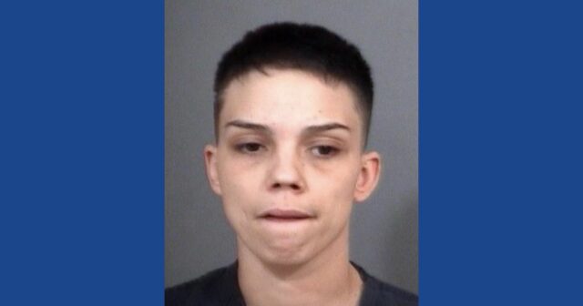 Police searching for wanted fugitive in Indiana