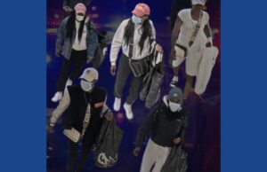 Police searching for wanted theft suspect in Ohio