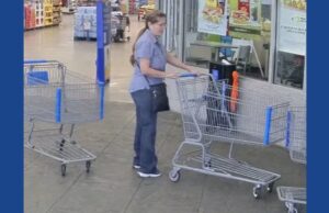 Police attempting to identify theft suspect in Alabama