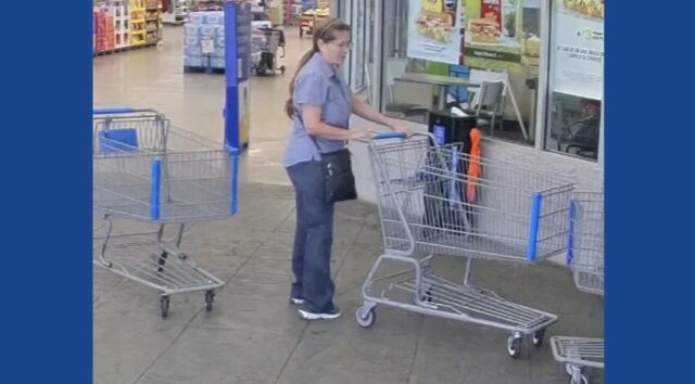 Police attempting to identify theft suspect in Alabama