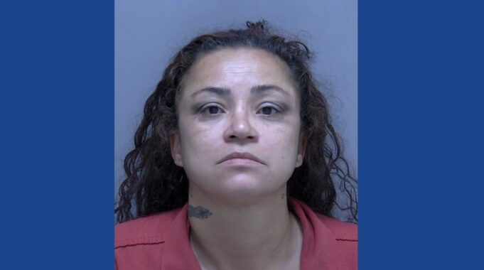 Police searching for wanted fugitive in Florida