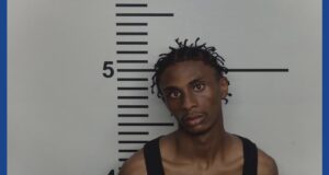 One person arrested after crashing into cars, fleeing traffic stop in Kentucky