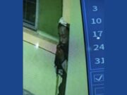 Police searching for armed robbery suspect in Georgia