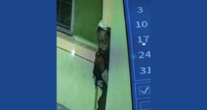 Police searching for armed robbery suspect in Georgia
