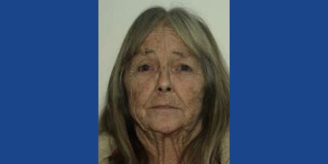 Police searching for missing person in Georgia