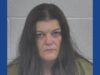 One person arrested following drug bust in Kentucky