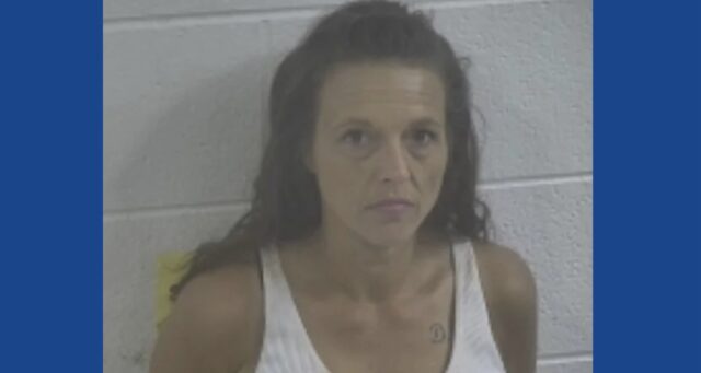 One person arrested following drug bust in Kentucky