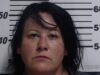 One person arrested following police chase, drug bust in Mississippi