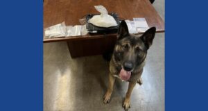 Police K-9 finds large quantity of drugs during traffic stop in Ohio