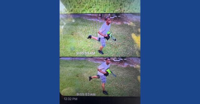 Police searching for missing person in Georgia