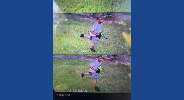 Police searching for missing person in Georgia