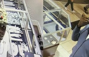 Police attempting to identify theft suspects in South Carolina