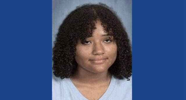 Police searching for missing person in Michigan
