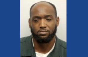 Police searching for 20 suspects involved in major crime in Georgia