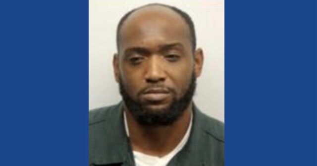 Police searching for 20 suspects involved in major crime in Georgia