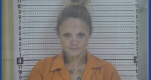 One person arrested following stabbing incident in Kentucky